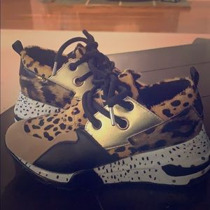 Leopard print Steve Madden sneaker